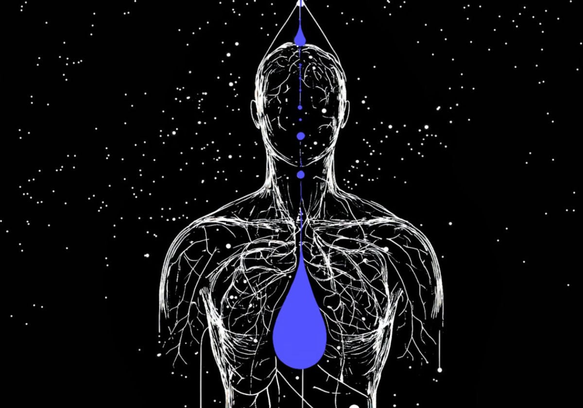 Drips for Privacy illustration