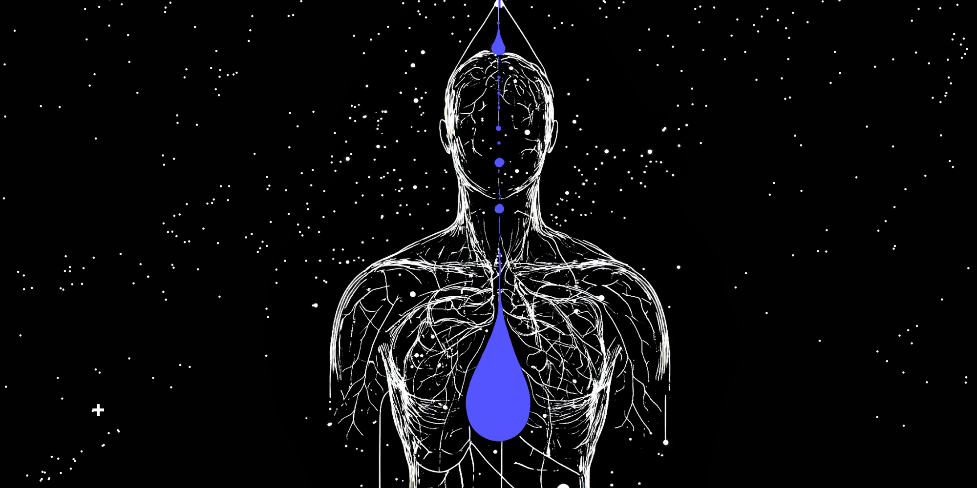 Drips for Privacy illustration