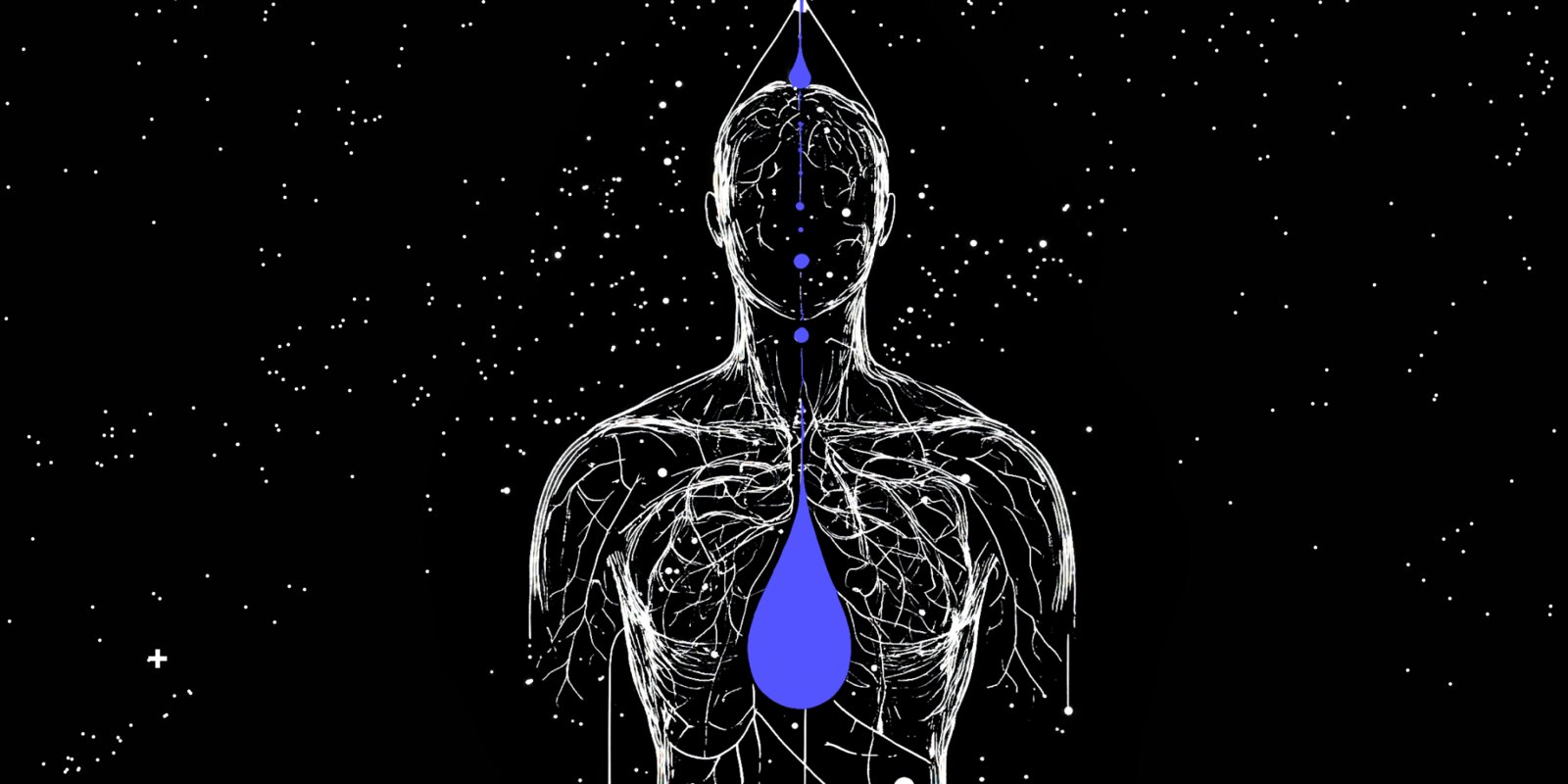 Drips for Privacy illustration